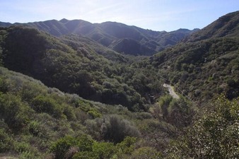 Enlarge photo 99