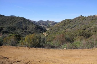 Enlarge photo 106