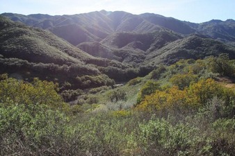 Enlarge photo 107