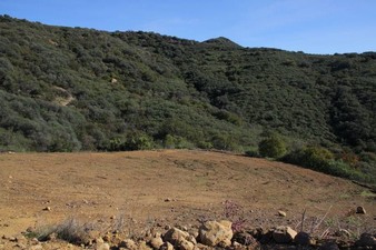 Enlarge photo 108