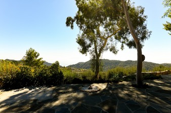 Enlarge photo 42
