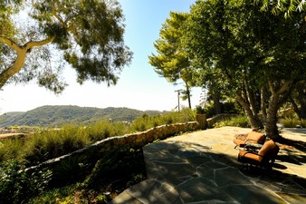 Enlarge photo 44