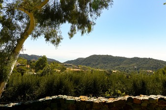 Enlarge photo 45