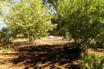 Enlarge photo 46