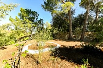 Enlarge photo 47