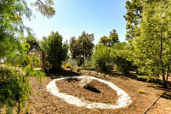 Enlarge photo 48