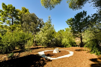 Enlarge photo 49