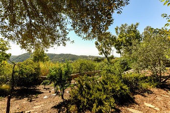 Enlarge photo 50