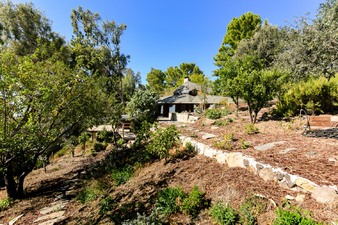 Enlarge photo 51