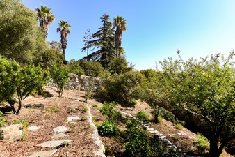 Enlarge photo 52