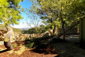 Enlarge photo 71