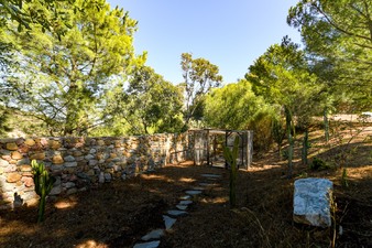 Enlarge photo 73