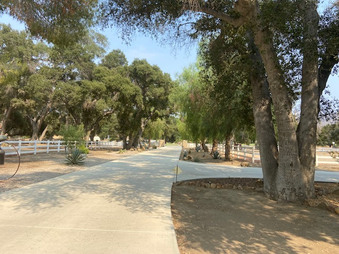 Enlarge photo 103