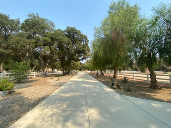 Enlarge photo 104