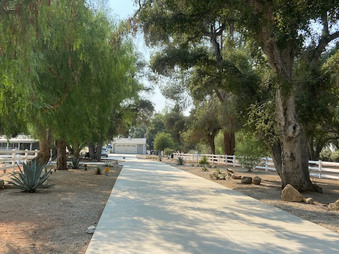 Enlarge photo 108