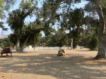 Enlarge photo 109