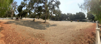 Enlarge photo 111