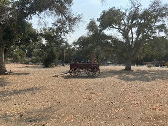 Enlarge photo 115