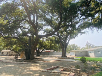 Enlarge photo 26