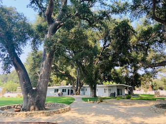 Enlarge photo 32