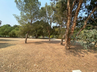 Enlarge photo 77