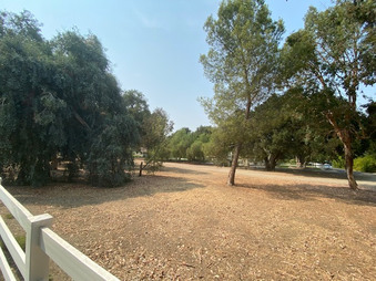 Enlarge photo 78