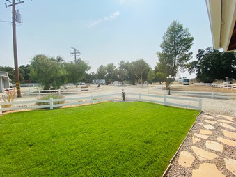 Enlarge photo 91