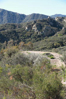 Enlarge photo 107