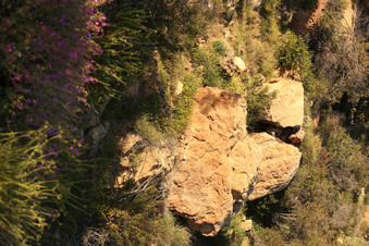 Enlarge photo 106