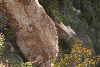 Enlarge photo 112