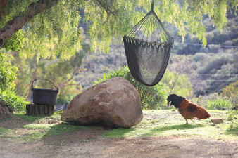 Enlarge photo 23