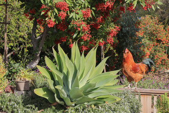 Enlarge photo 24