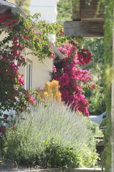 Enlarge photo 25