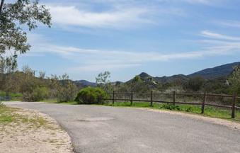 Enlarge photo 30
