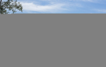 Enlarge photo 116