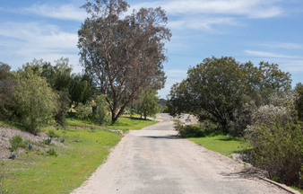Enlarge photo 32