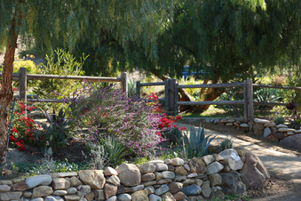 Enlarge photo 35