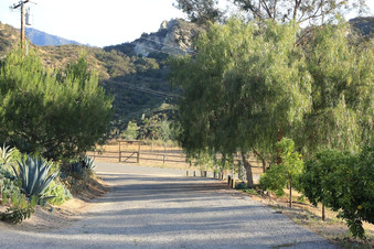 Enlarge photo 36