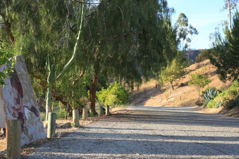 Enlarge photo 37