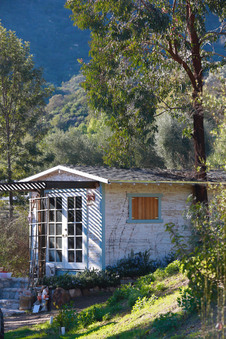 Enlarge photo 72