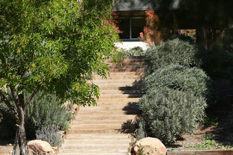 Enlarge photo 92