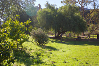 Enlarge photo 93