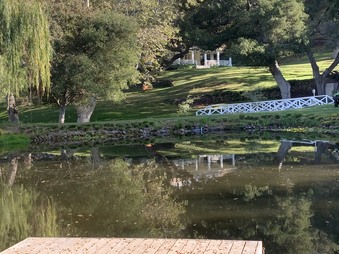 Enlarge photo 19