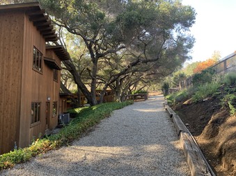 Enlarge photo 42