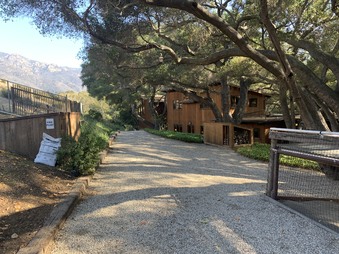 Enlarge photo 41