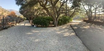 Enlarge photo 44