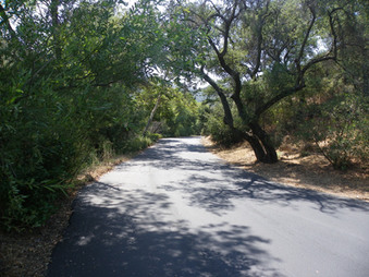 Enlarge photo 27