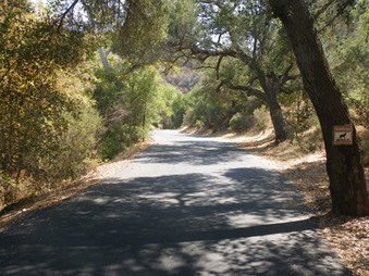 Enlarge photo 29