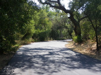 Enlarge photo 30