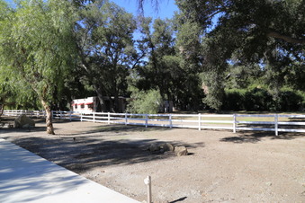 Enlarge photo 15